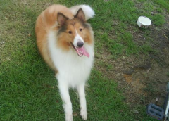 2��̩�ϴ�㲻����