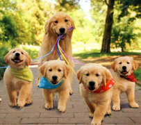 ����ͻȻ�Ľ�����