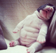 �»�����ȳ����ô��