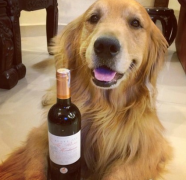 ̩�ϳԹ��������ô��