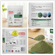 2���µ���ʩȮ��ôι