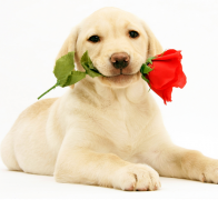 �������������