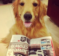 ̩��Ż�±���е�ϡ