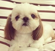 5���´��̩����ϡ��ô��