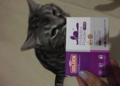 è��������Ч����