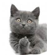 è����������ôѡ��