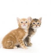 è�䳦θ������������