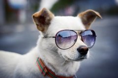 ����Ӫ����������Щ֢״������ô���ȣ�