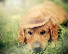 ����ȱ�Ƴ�ʲô������Һ��Ƶ�������ʲô��