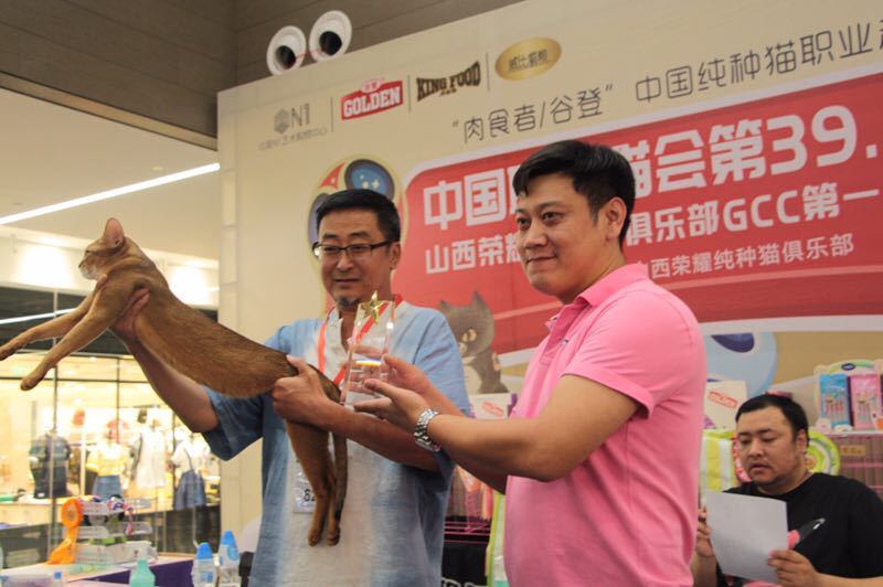 ��39&40��FIFE����èչ̫ԭվ��