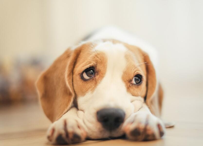 ������������ʱ����������������������