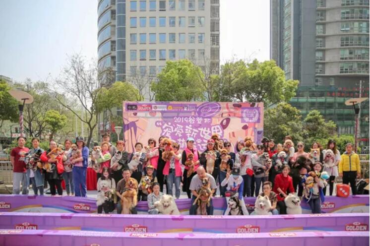 �����ô��⣬���ȴ��˻���Ź���һ��