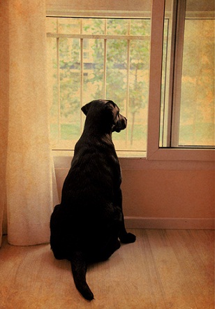 ����֪��������ζȹ����˲��ڼҵ�һ����