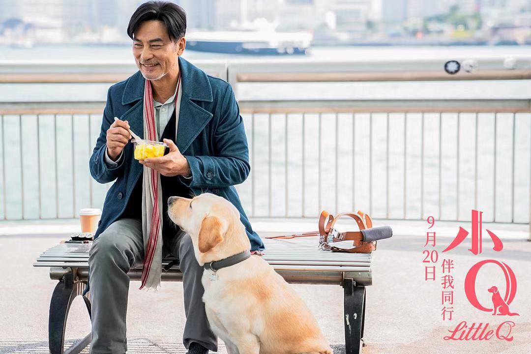 ��СQ��һ������������һ����������