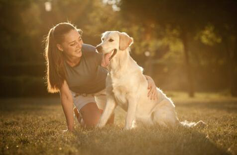 ������θ������ô�죿������θ������ε���