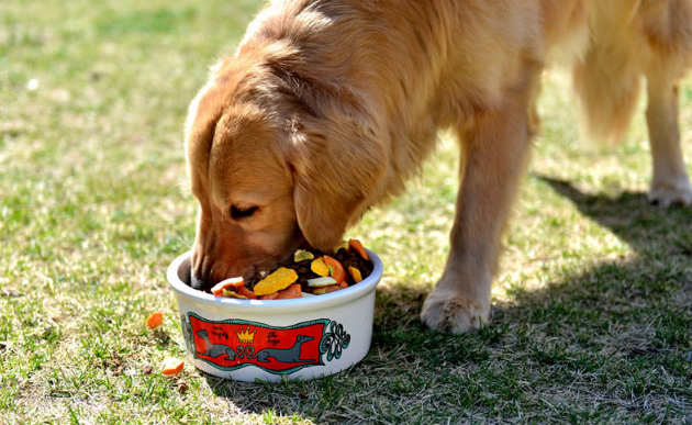 ���ٶ������ﳦθ�������ȵǳ�θ��