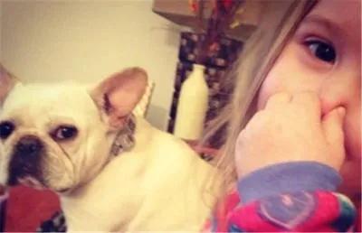 �ȵ�Ʒ�ʡ����������ھ�Դ�����Ͻ�ĸ������