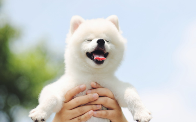 �ȵǳ�θ�� ���������������θ����