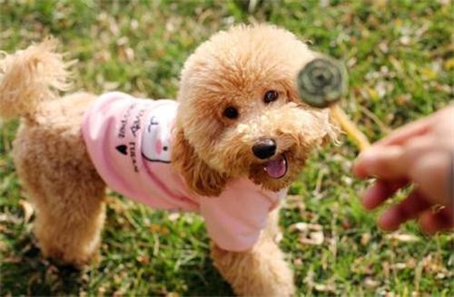 �ȵǳ�θ���������������������� �������