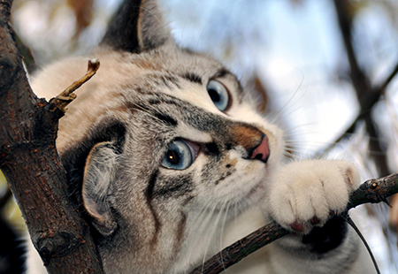 �����Ͼ�������ҵ�����Ͼ���Բ����ҽԺ