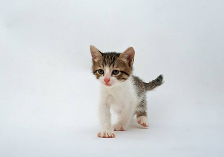 �Ͼ���Բ����ҽԺ�����Ͼ�������ҵ������